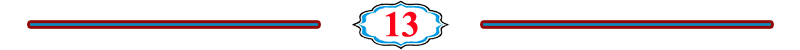 الصفحة 13