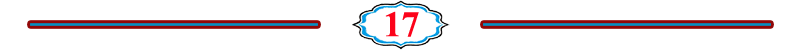 الصفحة 17